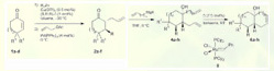 Arnold Group at UWM-Publications: Enantioselective Catalytic Reactions with Chiral Phosphoramidites-Enantioselective Synthesis of Bicyclic Compounds via Catalytic 1,4-Addition-Ring Closing Metathesis